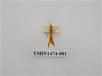 藏品(尺蠖蛾科)的圖片